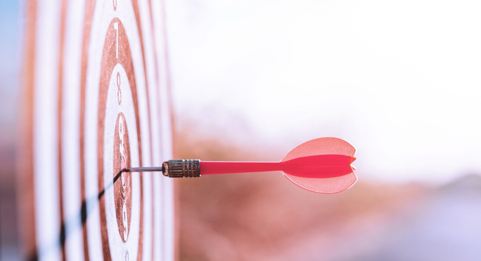 Bullseye target depicting data furnishing accuracy and integrity