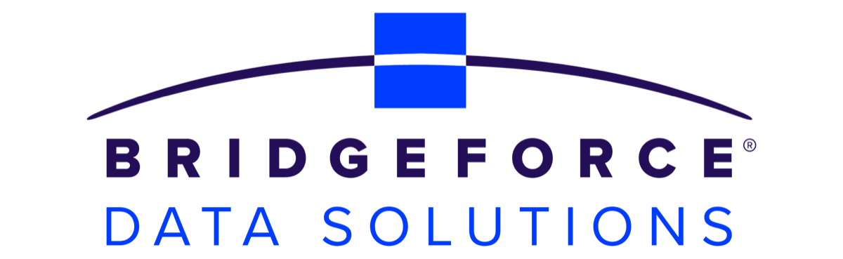 Bridgeforce Data Solutions logo